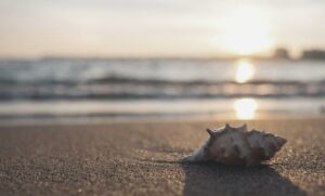 Inkasso – eine gute Alternative zum Forderungsverkauf/ Factoring